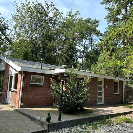 Relaxen In Het Bos Met Privesauna Holten Kültér fotó