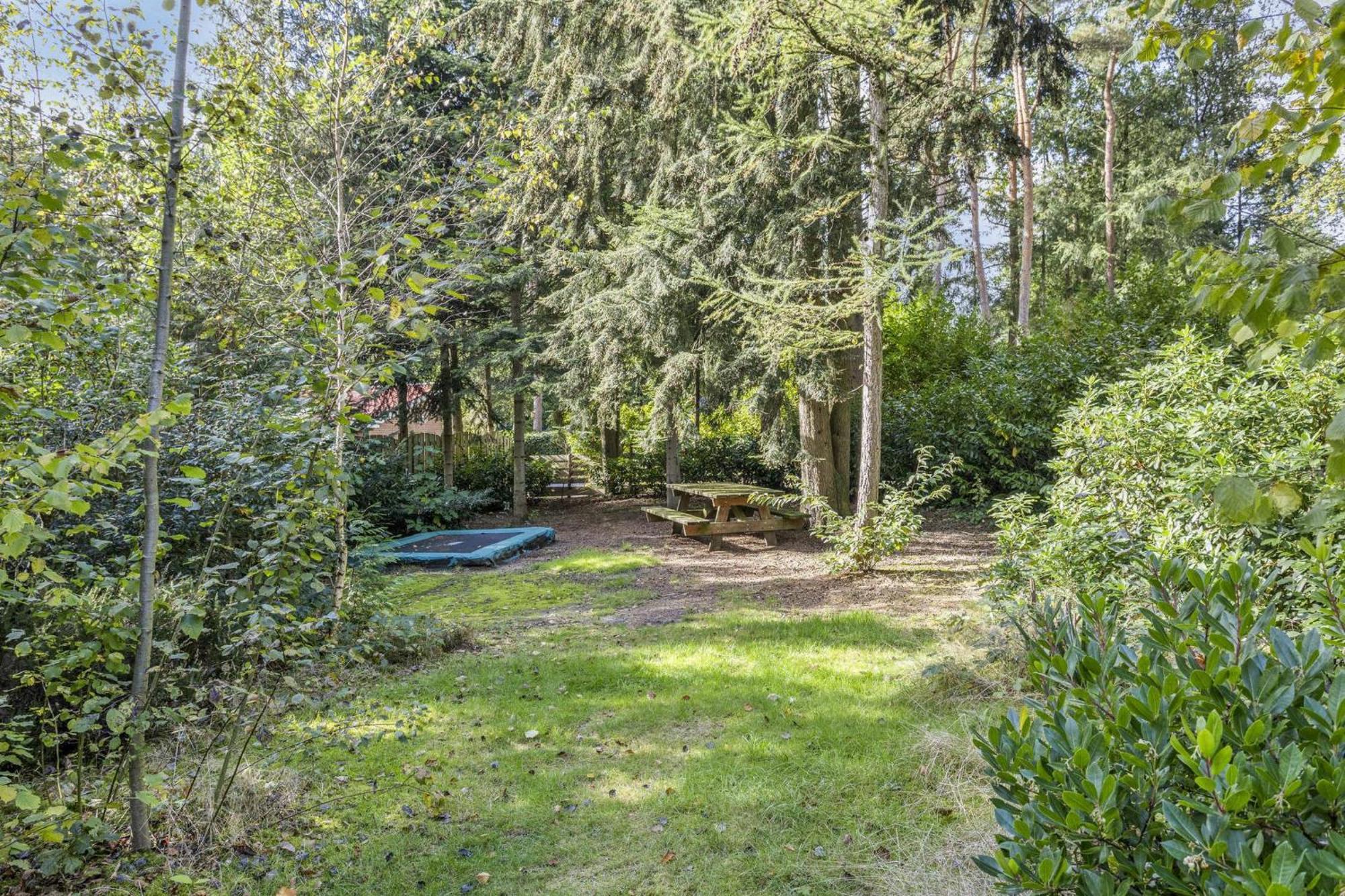 Relaxen In Het Bos Met Privesauna Holten Kültér fotó