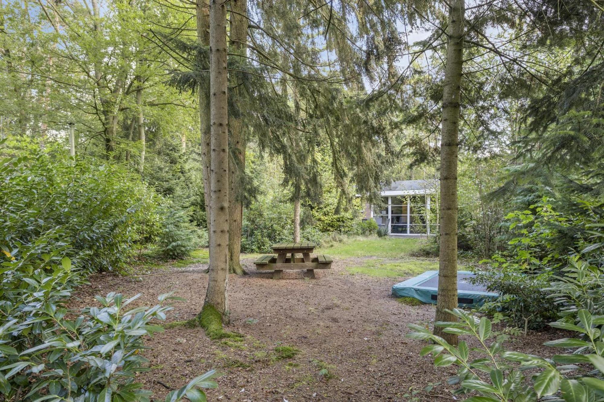 Relaxen In Het Bos Met Privesauna Holten Kültér fotó