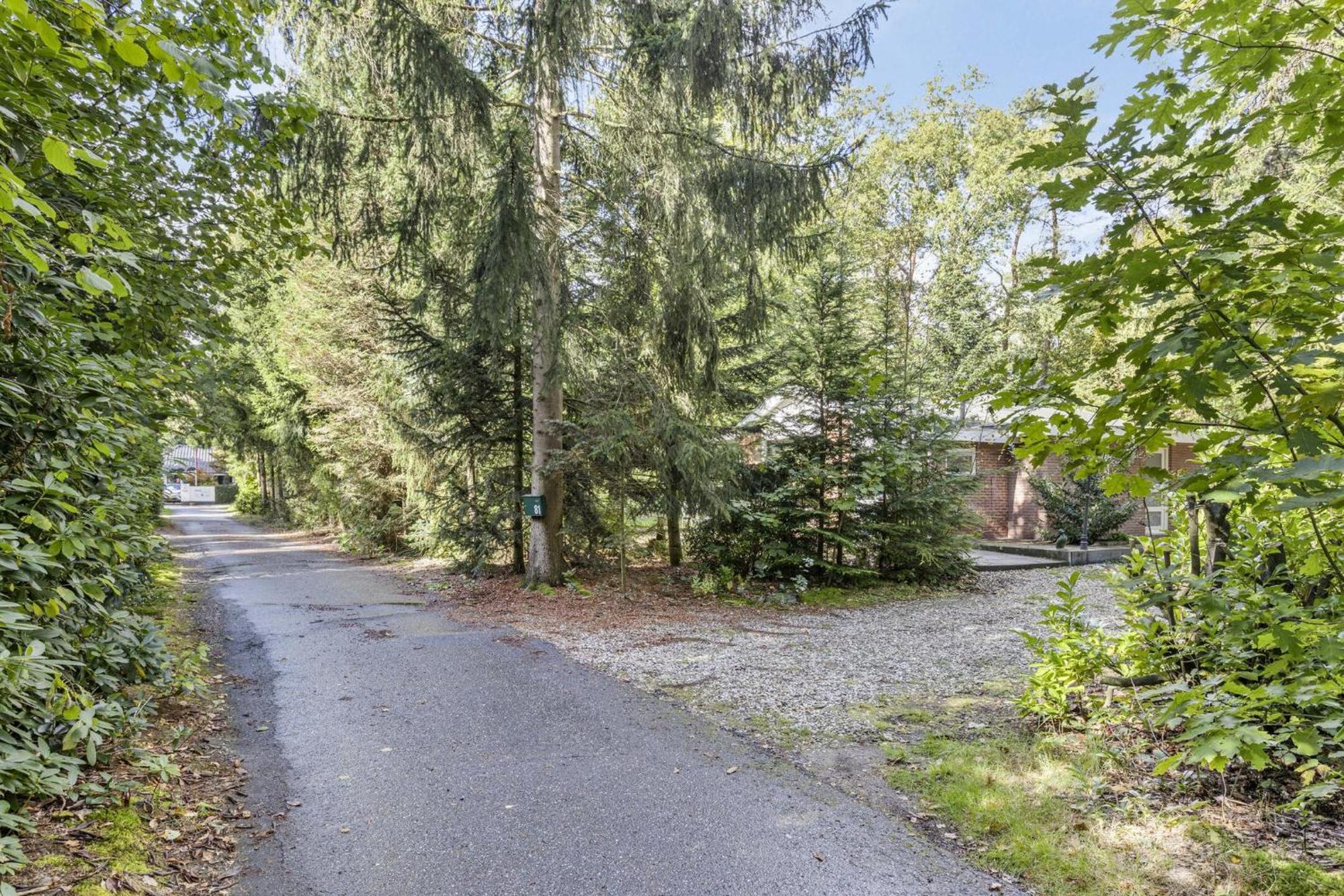 Relaxen In Het Bos Met Privesauna Holten Kültér fotó