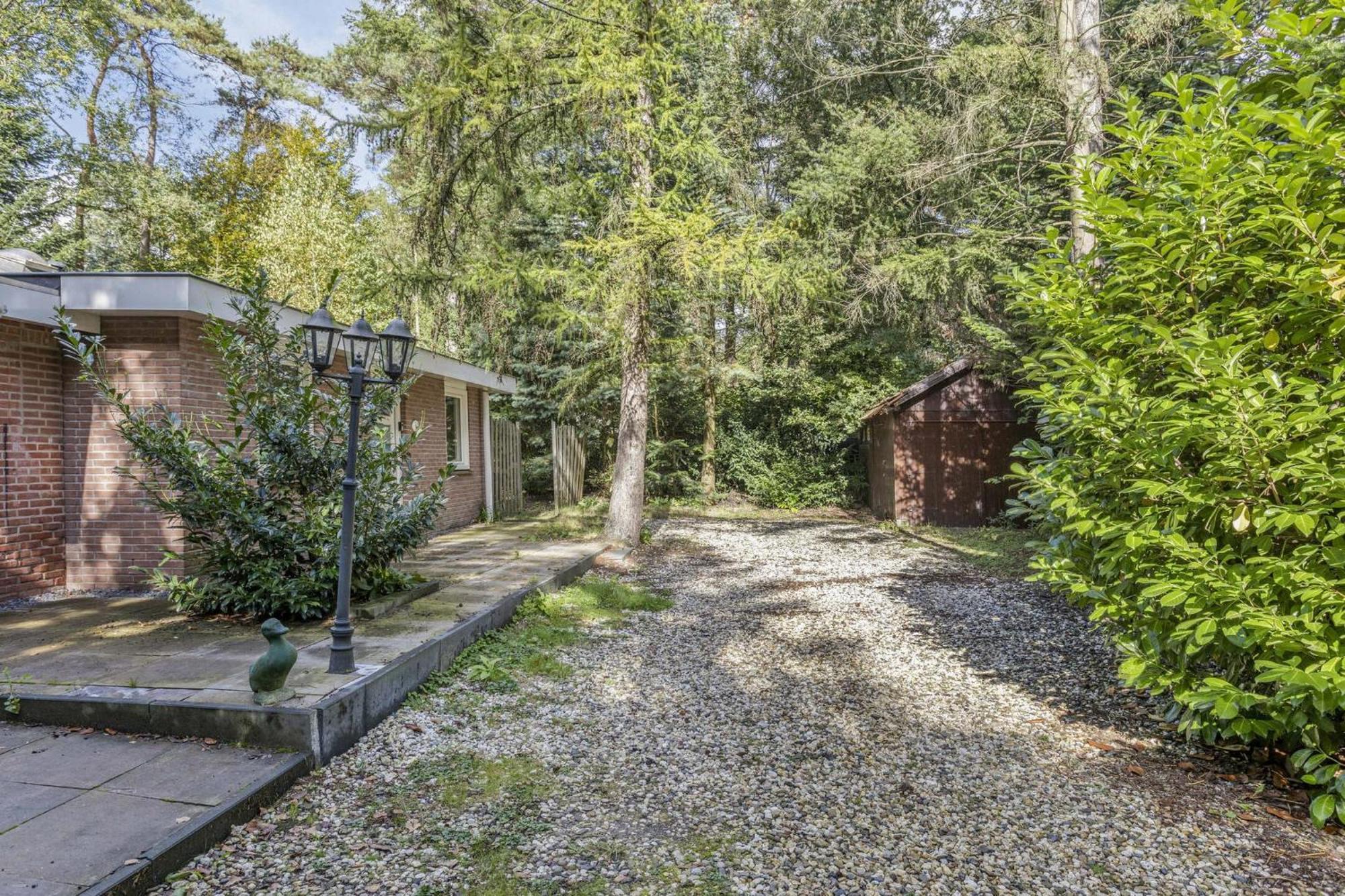 Relaxen In Het Bos Met Privesauna Holten Kültér fotó
